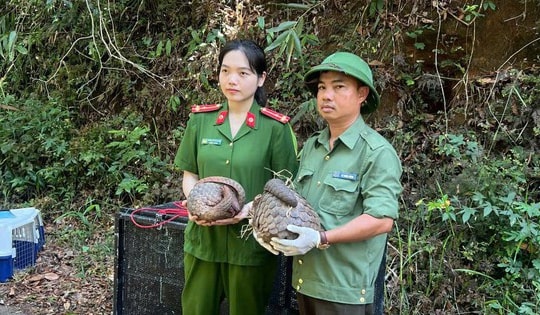 Thả 5 cá thể động vật nguy cấp, quý hiếm vào rừng ở Đắk Lắk