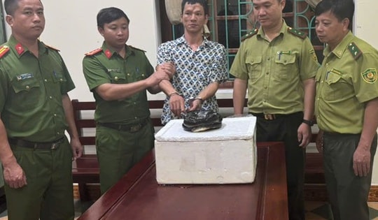 Mua rắn hổ chúa để sử dụng, người đàn ông bị khởi tố