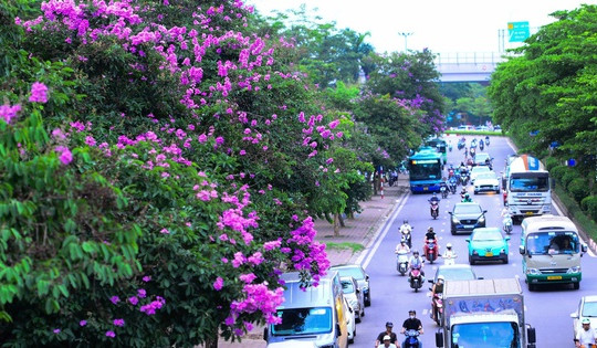 Nắng nóng gia tăng mạnh, miền Bắc và Trung Bộ có nơi vượt 38 độ C