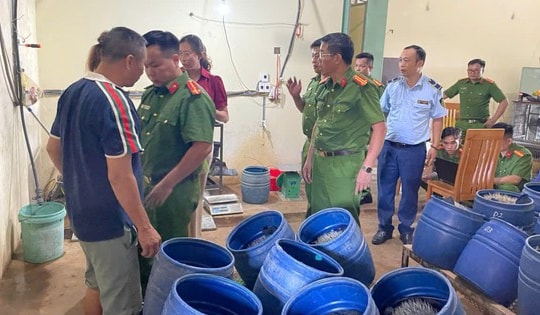 Phát hiện cơ sở sản xuất giá đỗ sử dụng chất cấm ở Hải Phòng