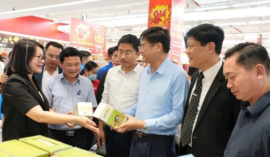 Nghệ An lập tổ liên ngành chống xâm phạm quyền sở hữu trí tuệ