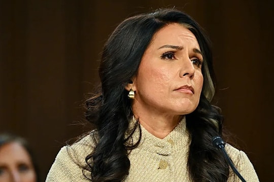 Giám đốc Tình báo Quốc gia Mỹ Tulsi Gabbard từ chức vì lý do sốc