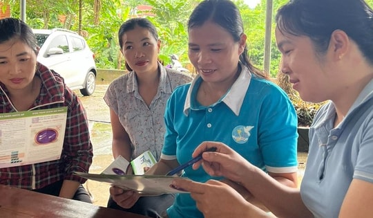 Từ 1/7/2026, cộng tác viên dân số được hưởng thù lao cao nhất đến gần 1,3 triệu đồng/tháng