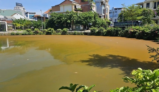 Mặt nước hồ Trái Tim ở Huế xuất hiện váng, đổi màu bất thường