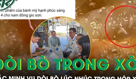 Kinh hãi dòi bò lúc nhúc trong hộp xôi mua tại tiệm bánh mì, công an xã vào cuộc xác minh