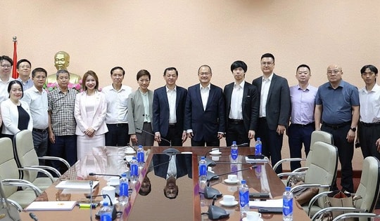 Thứ trưởng Nguyễn Tri Thức tiếp, làm việc với Chủ tịch Tập đoàn SunWah cùng các doanh nghiệp Trung Quốc