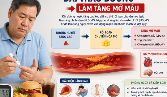 Điểm mới hướng dẫn điều trị tăng mỡ máu cho người đái tháo đường