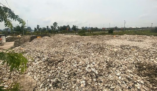 Đổ hơn 300 tấn vỏ hàu ra môi trường, chủ cơ sở bị khởi tố