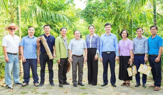 Kết quả tuyển chọn thực hiện đề tài 'Nghiên cứu xây dựng quy trình công nghệ chiết xuất hoạt chất sinh học sản xuất mỹ phẩm từ dược liệu bản địa Organic trên địa bàn tỉnh Nghệ An'