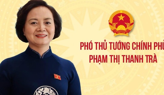 Phó Thủ tướng Phạm Thị Thanh Trà làm Trưởng BCĐ quốc gia về phát triển ngành Dược Việt Nam