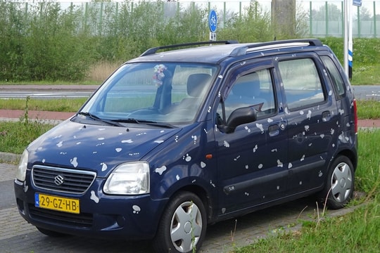 Xe ô tô Suzuki đời 2001 có dùng được xăng E10?