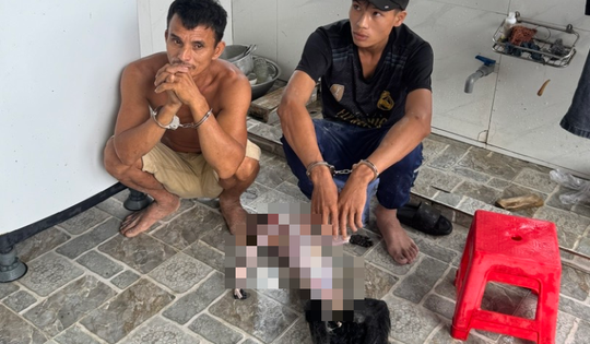Săn 9 cá thể voọc bạc Đông Dương quý hiếm, 5 đối tượng bị tạm giữ hình sự