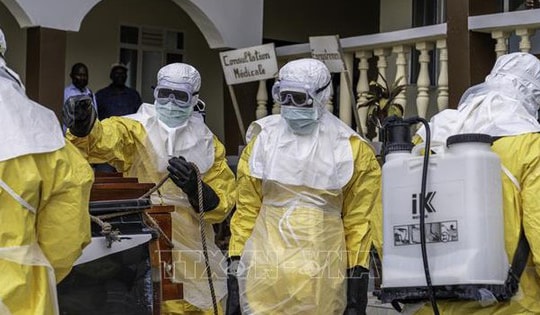 Dịch Ebola: Liên minh chống dịch bệnh tài trợ 60 triệu USD phát triển vaccine