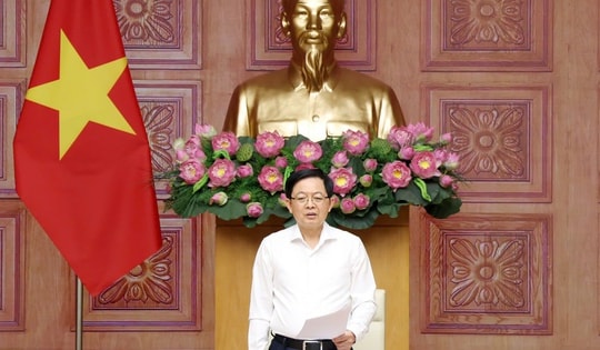 Phó Thủ tướng yêu cầu mở đợt cao điểm mới chống xâm phạm sở hữu trí tuệ