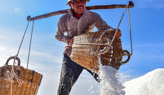 Nét đẹp trên cánh đồng muối Cần Giờ