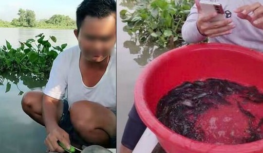 Phóng sinh qua livestream đang tiếp tay cho buôn bán động vật hoang dã