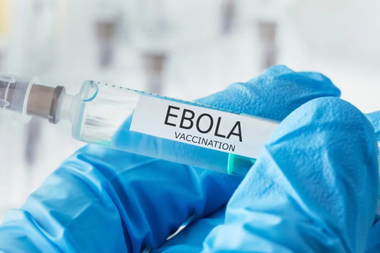 Cuộc đua điều chế vaccine Ebola xuất hiện những ứng viên 'nặng ký'