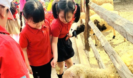 Nghỉ hè, phụ huynh Hà Nội tốn tiền triệu để 'giữ chân' con
