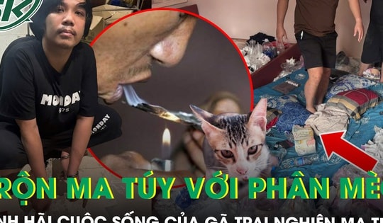 Cận cảnh căn phòng trọ của thanh niên nghiện ma túy: Rác thải chất đống, trộn ma tuý với phân mèo để hít