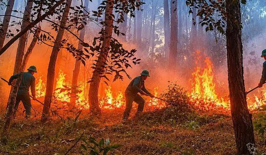 Liên tiếp 2 vụ cháy rừng, nhà dân ở Huế