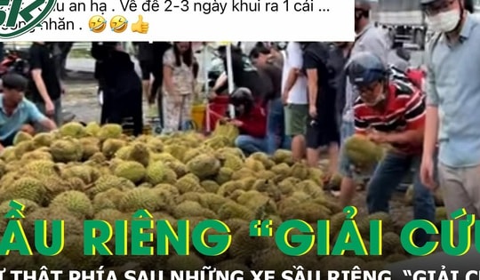 Sự thật đáng buồn phía sau những tấm bảng 'giải cứu' sầu riêng giá 25.000 đồng/kg