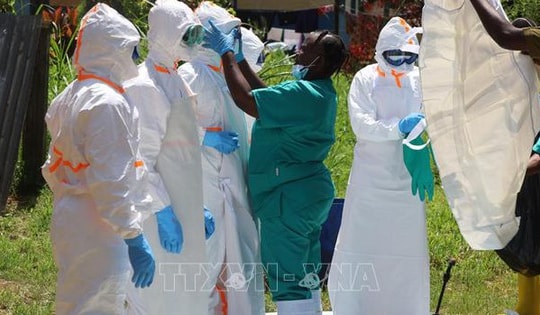 Khoảng 500 ca mắc virus Ebola được xác nhận ở Trung Phi