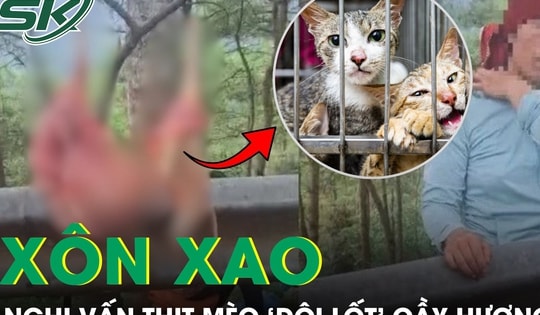 Xôn xao nghi vấn thịt mèo ‘đội lốt’ cầy hương, cơ quan chức năng vào cuộc