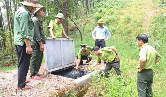 Nguy cơ cháy rừng gia tăng giữa cao điểm nắng nóng ở Huế