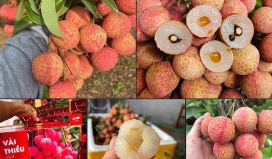Một loại quả đặc sản của Việt Nam chính thức chinh phục thị trường Mỹ