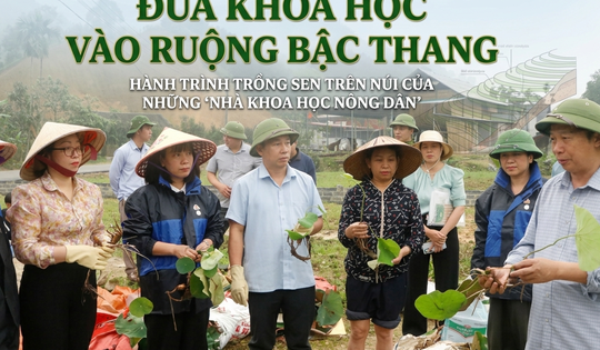 Đưa khoa học vào ruộng bậc thang, hành trình trồng sen trên núi của những ‘nhà khoa học nông dân’