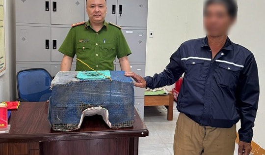 Bẫy chim để bán phóng sinh, người đàn ông bị phạt 3 triệu đồng