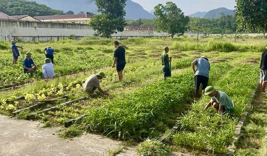 Khoảng trống sau điều trị và vai trò của phục hồi chức năng cho người bệnh tâm thần
