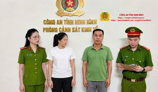 Ba Giám đốc bị khởi tố vì trốn thuế