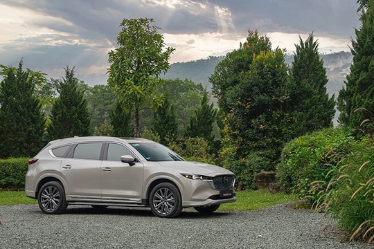 Mazda CX-8 2026: Chi tiết giá lăn bánh và thông số kỹ thuật mới nhất