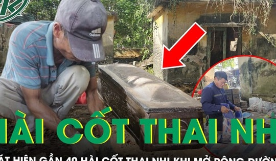 Phát hiện gần 40 hài cốt thai nhi khi mở rộng đường, nằm rải rác ở các gốc cây, bờ tường tại Ninh Bình