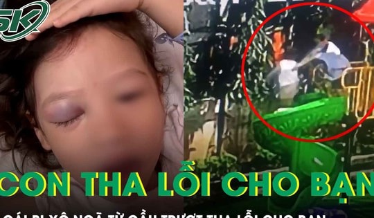 Bé gái bị xô ngã từ cầu trượt cao 1,5m: “Con tha lỗi cho bạn rồi ạ!”
