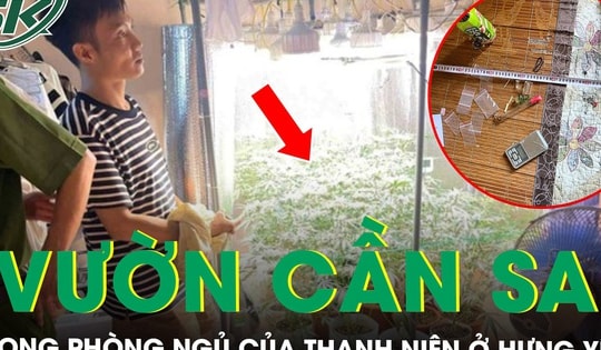 Phát hiện ‘vườn cần sa’ trong phòng ngủ ở Hưng Yên, thu giữ 35 chậu cây cùng dàn thiết bị hiện đại