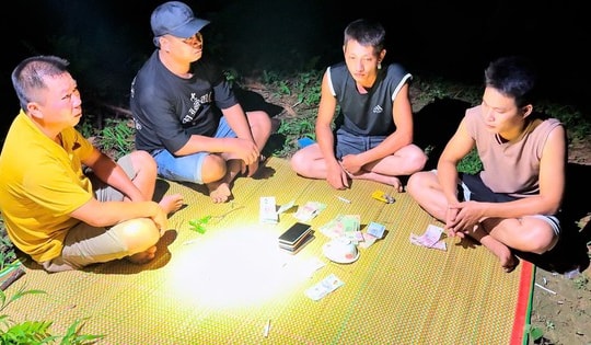 Khởi tố 8 đối tượng đánh bạc trên đồi quế