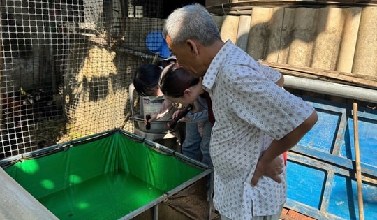 Sốt xuất huyết vẫn tiềm ẩn nhiều nguy cơ, hành động từ mỗi gia đình để bảo vệ cộng đồng
