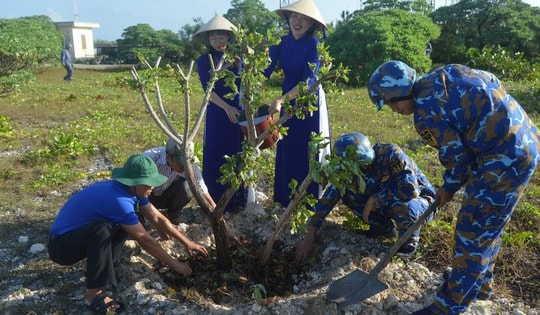 Thêm gần 183.000 cây trồng và 240 tấn phân bón để ‘Xanh hóa Trường Sa’