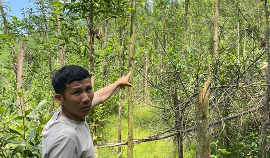 Thông tin mới vụ xã phải thu hồi gần 200 triệu đồng tiền hỗ trợ thiệt hại thiên tai