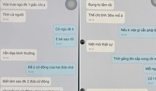Mánh khóe tinh vi của người phụ nữ cầm đầu môi giới mang thai hộ, hiến trứng