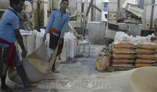 Thị trường nông sản: Giá cà phê thế giới phục hồi ấn tượng sau nhịp giảm