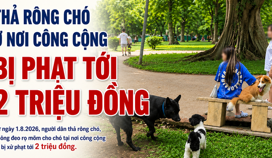 Thả rông chó ở nơi công cộng bị phạt tới 2 triệu đồng