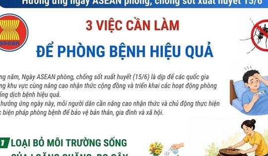 Ngày ASEAN phòng, chống sốt xuất huyết: 3 việc cần làm để phòng bệnh hiệu quả
