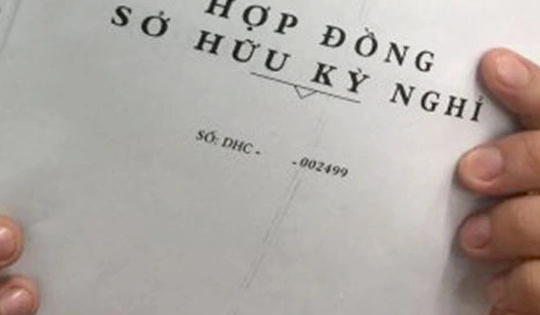 Hợp đồng kỳ nghỉ và những tổn thương không thể khỏa lấp của người già