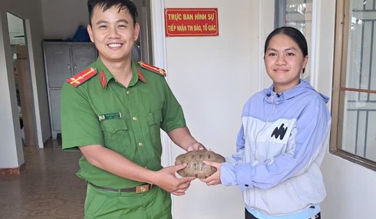 Phát hiện rùa núi vàng trong vườn, nữ sinh ở Lâm Đồng mang đến cơ quan công an