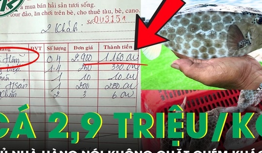 Du khách phản ánh cá bò hòm 2,9 triệu/kg, chủ nhà hàng nói không chặt chém