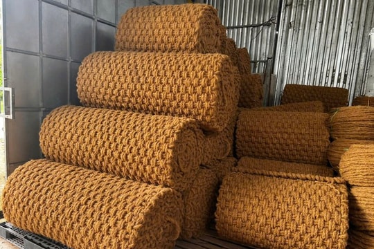 Khai thác 159 triệu tấn phụ phẩm nông nghiệp: Cơ hội từ thị trường xanh tỷ USD