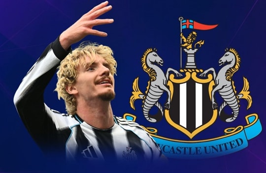 Nick Woltemade và đoạn kết buồn tại Newcastle: Khi bản hợp đồng kỷ lục 75 triệu euro không tìm thấy lối ra